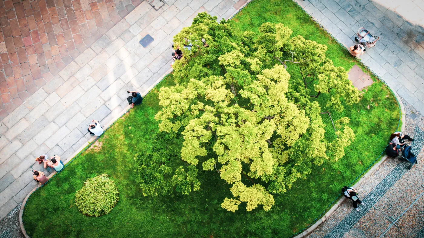 How parks help cities adapt to climate change