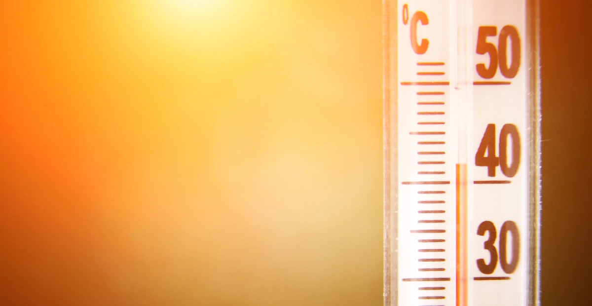 Urban Heat Islands (UHI) : Definition, Causes and Solutions for Cities